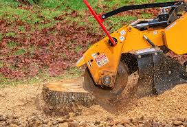 Best Lawn Disease Treatment  in Tillmans Corner, AL
