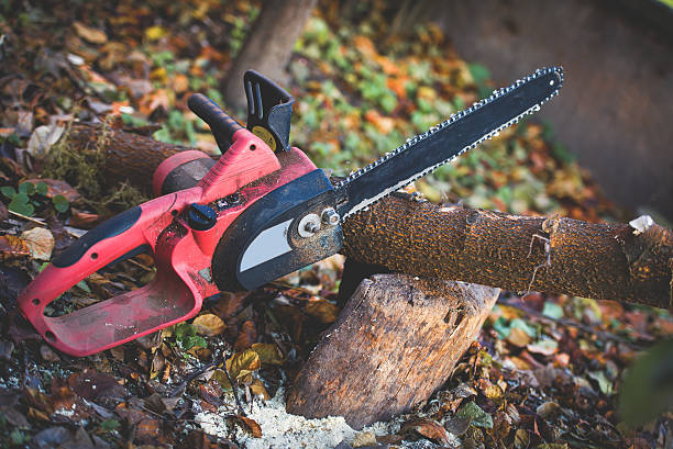 How Our Tree Care Process Works  in  Tillmans Corner, AL